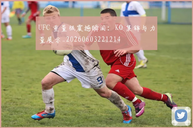 UFC 重量级震撼瞬间:KO 集锦与力量展示_20260603221214